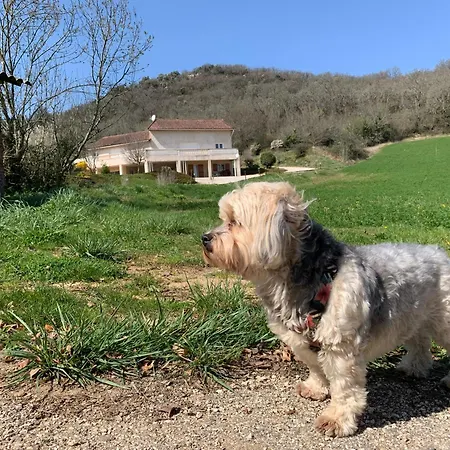 Trois gîtes ensemble dans le même immeuble devant la piscine avec terrasses offrant une vue magnifique, dont une couverte au niveau de la piscine et vue sur la vallée à l'étage *
